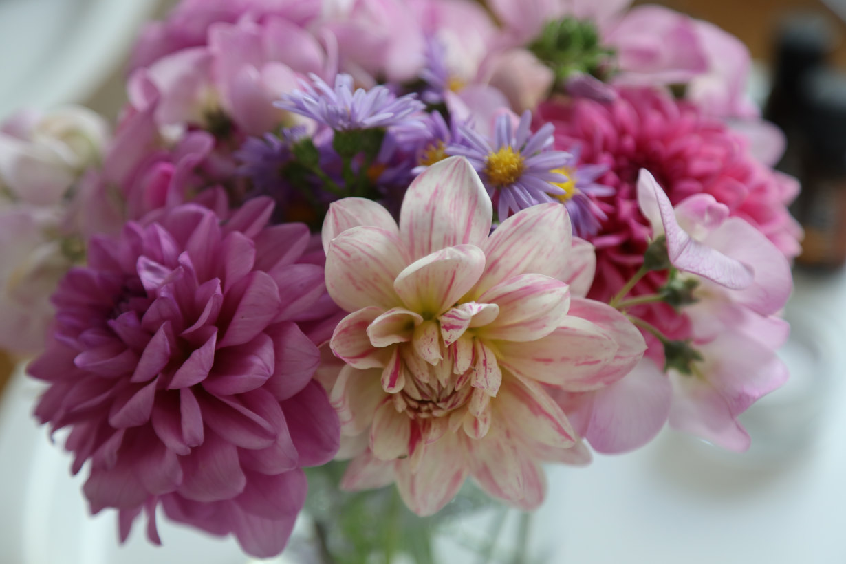 flowers